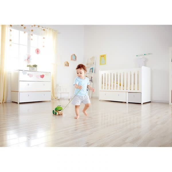 Hape | Pull Along Frog | 12 cm | 1+