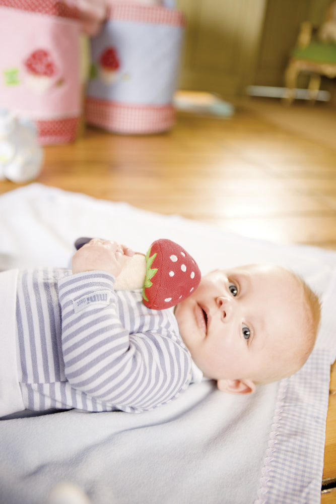 Baby met Baby Glück-gelukspaddestoelrammelaar op een deken