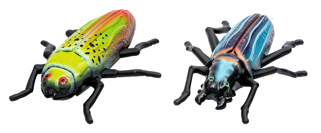 Moses | Expedition Nature | Running beetles | 2 assorted designs
