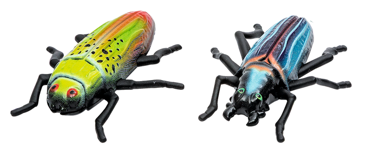 Moses | Expedition Nature | Running beetles | 2 assorted designs