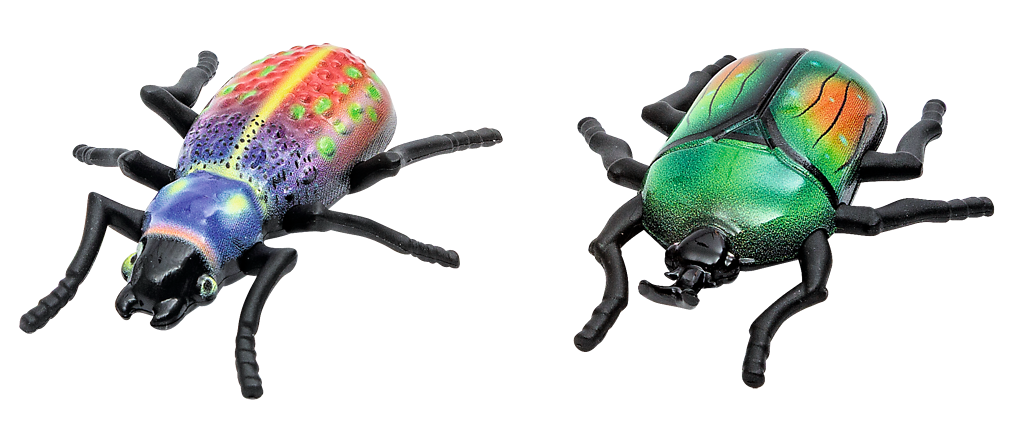 Moses | Expedition Nature | Running beetles | 2 assorted designs