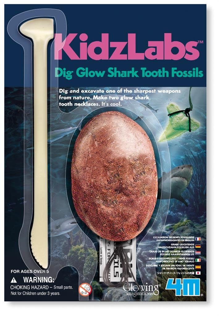 4M | KidzLabs | Dig & Play | Graaf je Haaientand op | 5+ - Kleine Eland