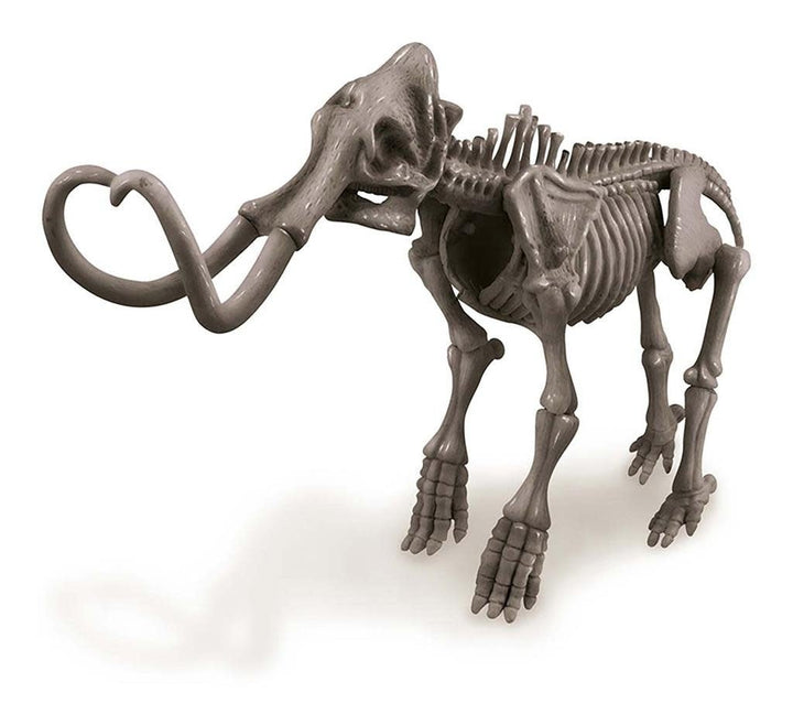 4M KidzLabs | Graaf je Dinosaurus op | Mammoet | 8+ - Kleine Eland