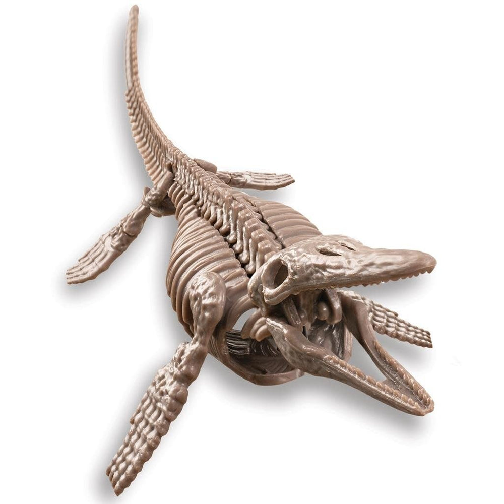4M | KidzLabs | Graaf je dinosaurus op | Mosasaurus | 8+ - Kleine Eland