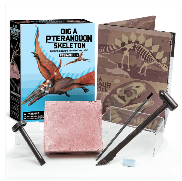 4M | KidzLabs | Graaf je dinosaurus op | Pteranodon | 8+ - Kleine Eland