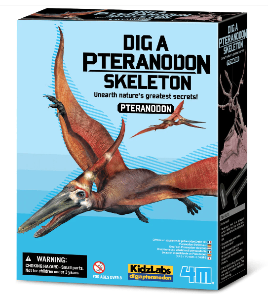 4M | KidzLabs | Graaf je dinosaurus op | Pteranodon | 8+ - Kleine Eland