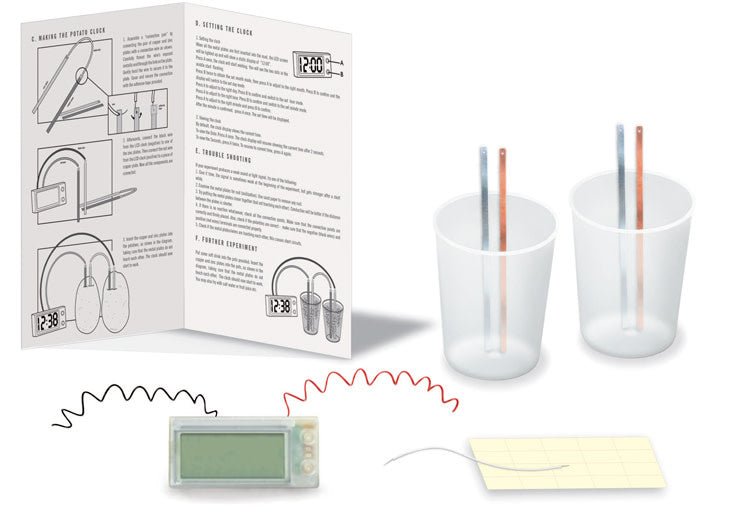 4M | Kidzlabs | Green Science | Potato Clock | 8+ - Kleine Eland