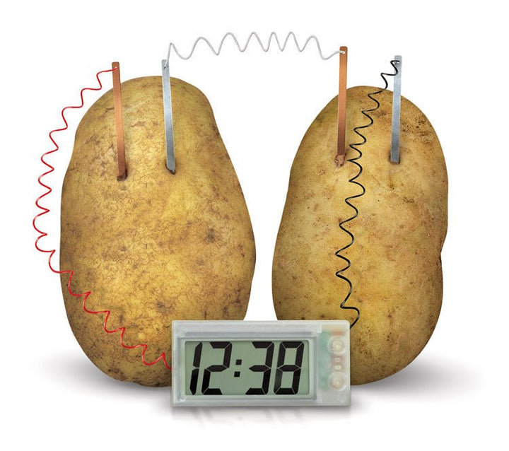 4M | Kidzlabs | Green Science | Potato Clock | 8+ - Kleine Eland