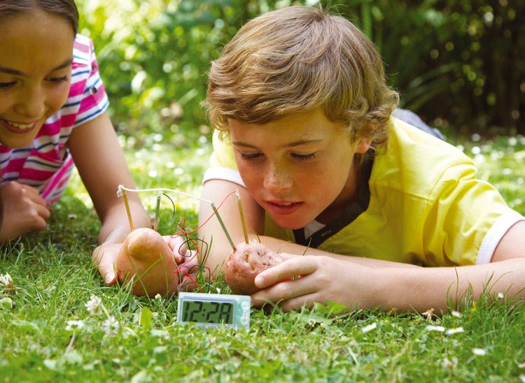 4M | Kidzlabs | Green Science | Potato Clock | 8+ - Kleine Eland