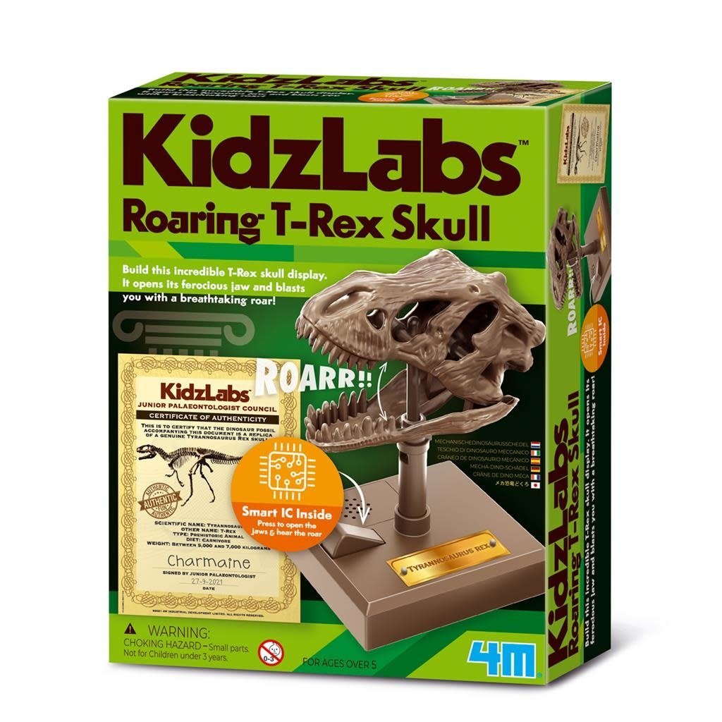 4M | KidzLabs | Roaring T - Rex Skull | 5+ - Kleine Eland