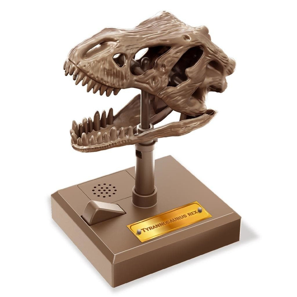 4M | KidzLabs | Roaring T - Rex Skull | 5+ - Kleine Eland
