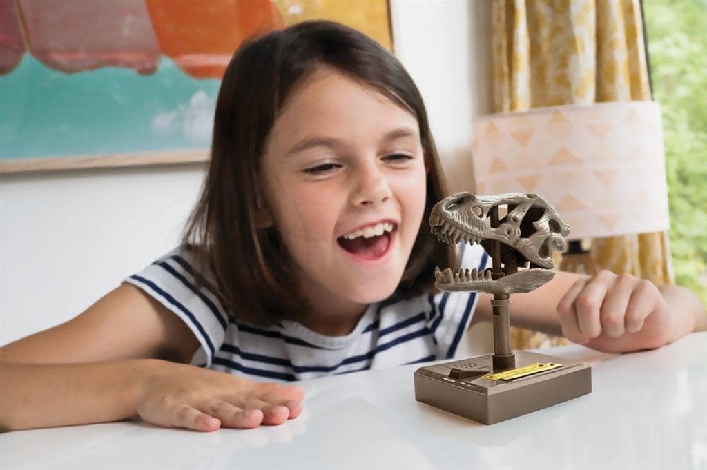 4M | KidzLabs | Roaring T - Rex Skull | 5+ - Kleine Eland