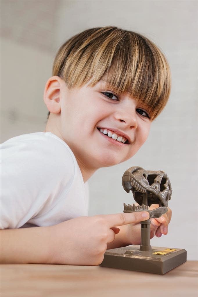 4M | KidzLabs | Roaring T - Rex Skull | 5+ - Kleine Eland