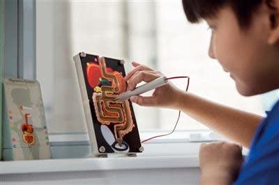 4M KidzLabs Stresstester Spijsverteringsysteem 8+ - Kleine Eland