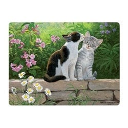 Live Life | 3D | Ansichtkaart | 15,4 x 11,3 cm | Garden Secret