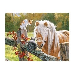 Live Life | 3D | Ansichtkaart | 15,4 x 11,3 cm | Just Visiting