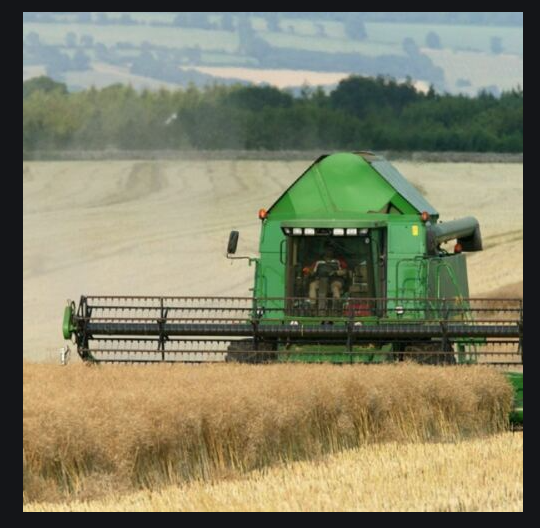 Really Wild Cards | Wenskaart met Geluid | Down on the Farm | Combine