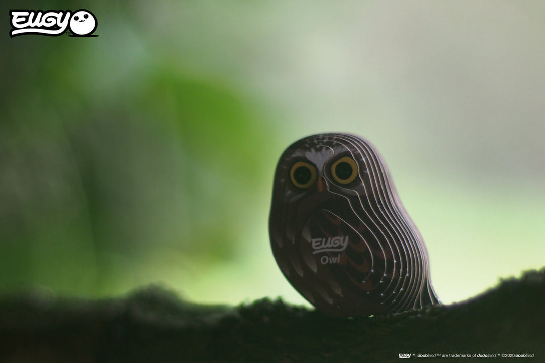 Eugy | 3D Cardboard Model Kit | Bird Life | Uil | 6+