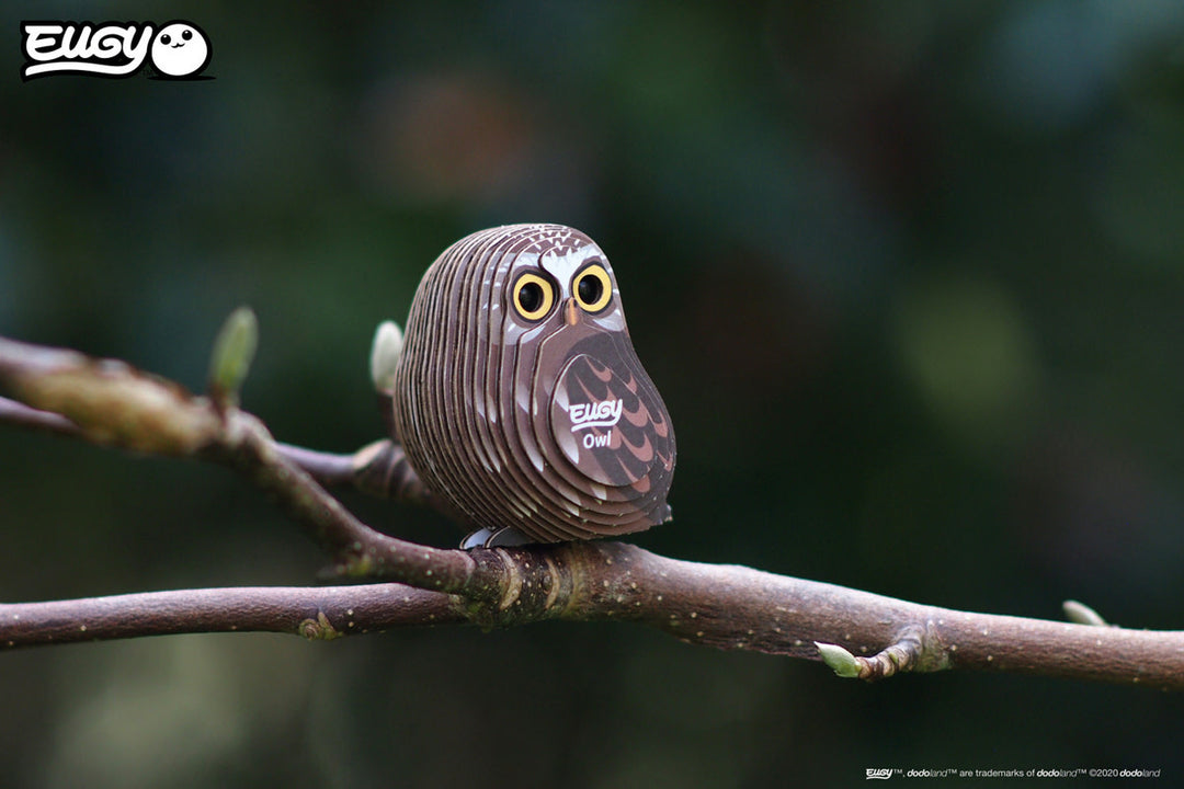 Eugy | 3D Cardboard Model Kit | Bird Life | Uil | 6+