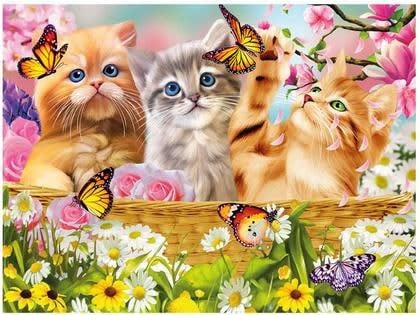 Live Life | 3D | Ansichtkaart | 15,4 x 11,3 cm | Kitten Fun Times