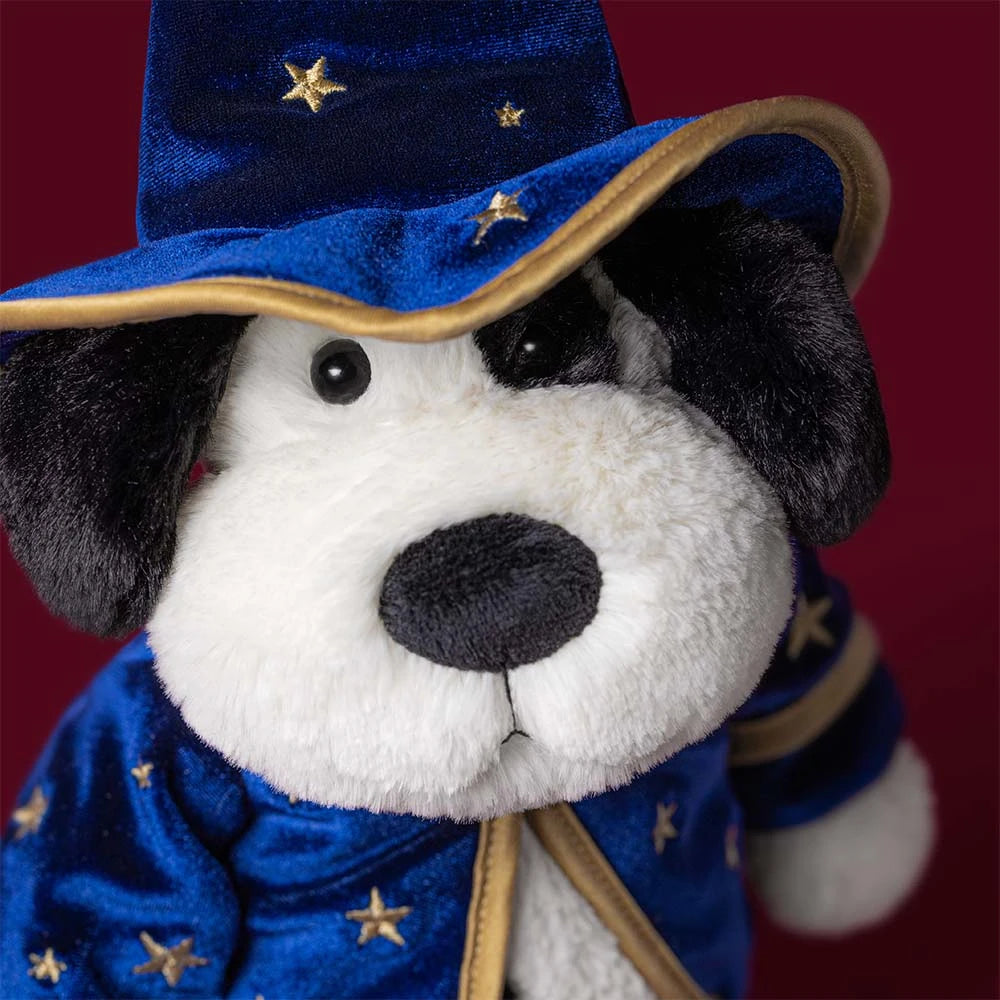 Close-up van Rufferty Puppy 'Wizard' met blauwe sterrenhoed en zwart-witte snuit