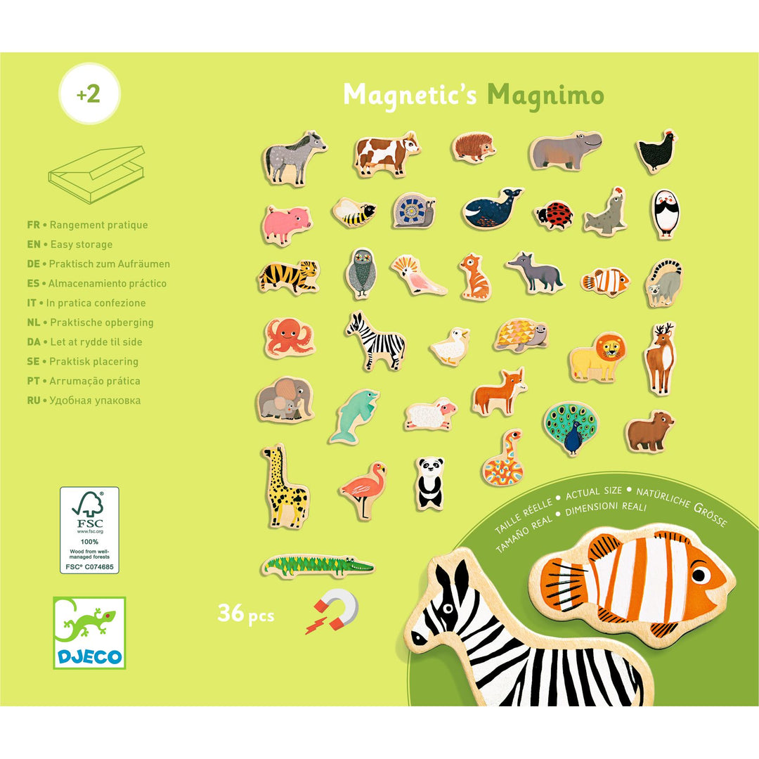 Djeco | Houten magneten | Magnimo | 36 stuks | 2+ - achterkant van de verpakking