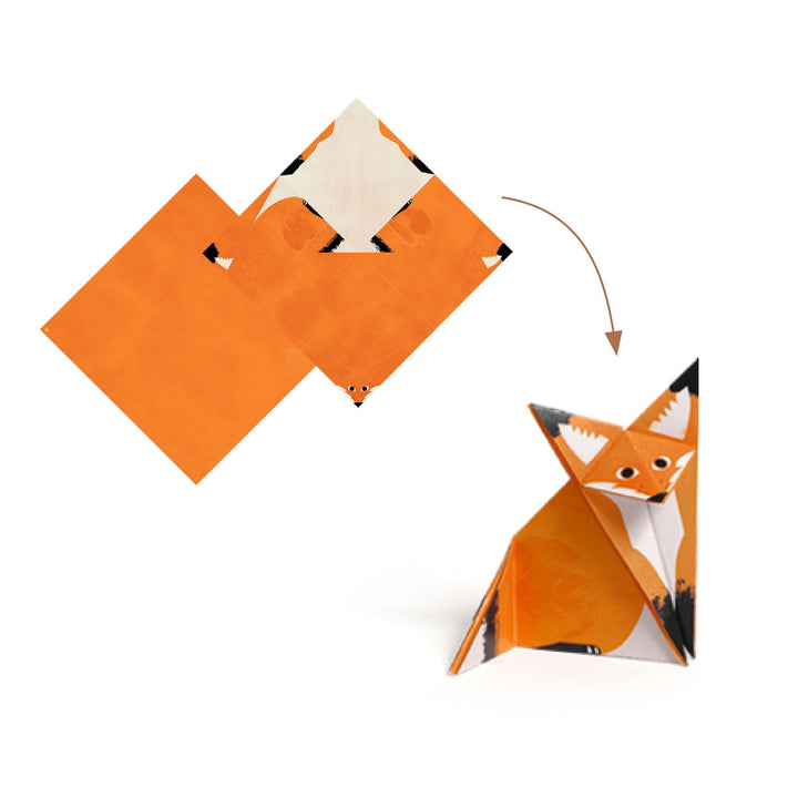 Djeco | Origami | Forest walk | 7-12 years - detail of the contents