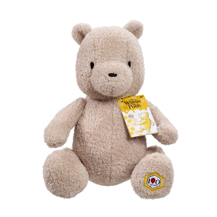 Rainbow Design | Disney | Winnie de Pooh | 100 jaar | 29,5 cm | 0+