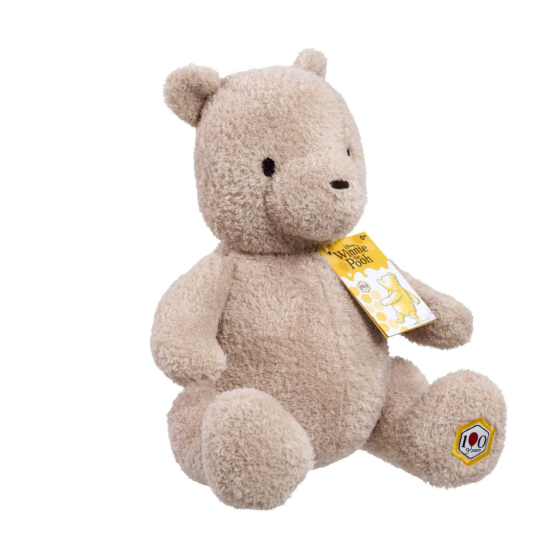 Rainbow Design | Disney | Winnie de Pooh | 100 jaar | 29,5 cm | 0+