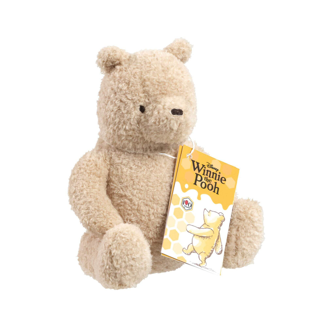 Rainbow Design | Disney | Winnie de Pooh | 100 jaar | 19 cm | 0+
