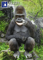 Lentikular-Karte mit Bewegungsbild | Lachender Gorilla