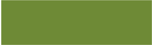 Muster des mt Washi-Tapes Matte olive green: ein einfarbiges Olivgrün
