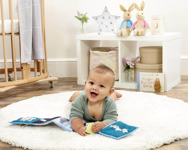 Rainbow Designs | Peter Rabbit | Ontdek &amp; Speel Activiteitenspeeltje | 0+