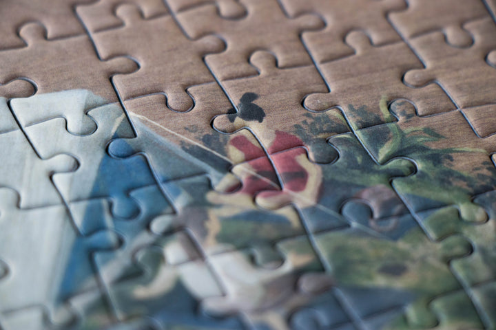 Second close-up of the perspective in the Japanese Rock puzzle