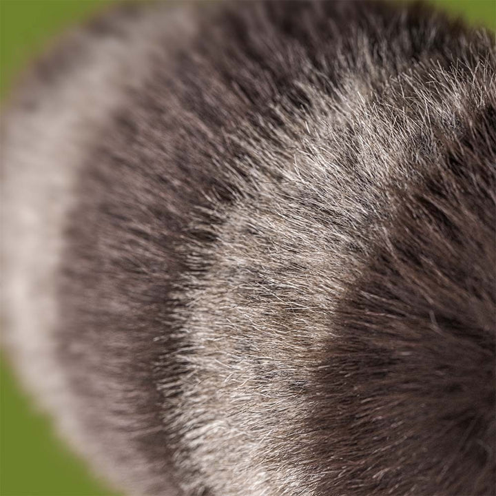 Jellycat Animals Trixiwoo Raccoon