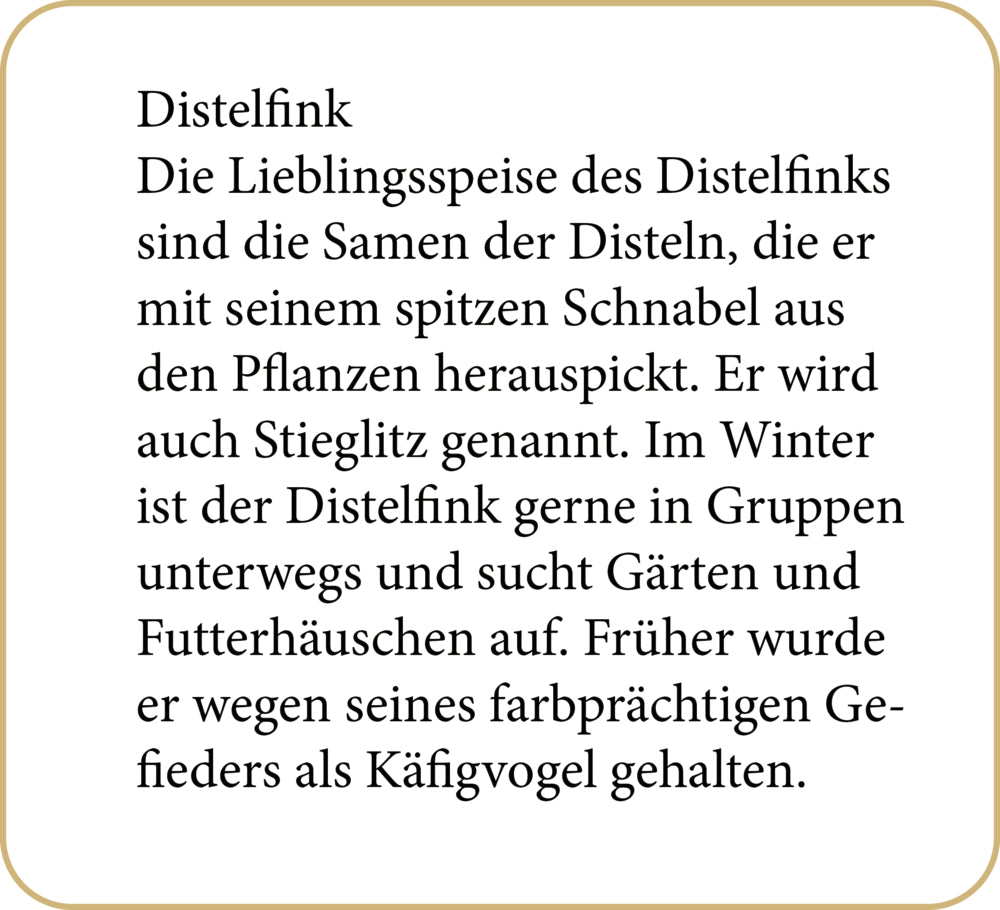 Adventskalender met geluid | Vogels in de winter