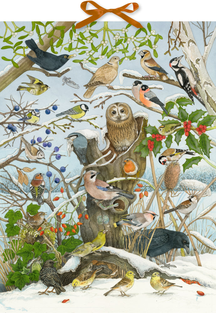 Adventskalender met wintervogels in een boom en oranje ophanglint
