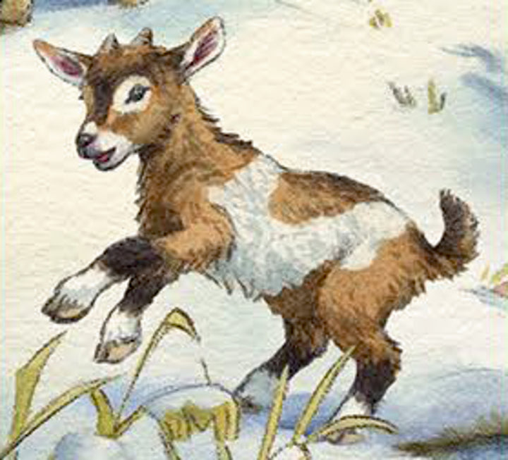Detail van een geit op de boerderijadventskalender