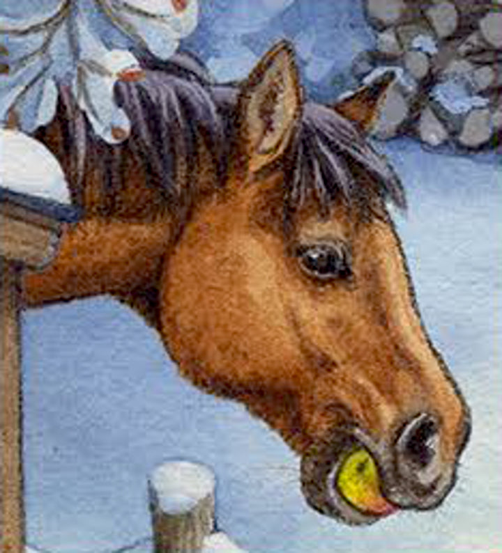Detail van een bruin paard met appel