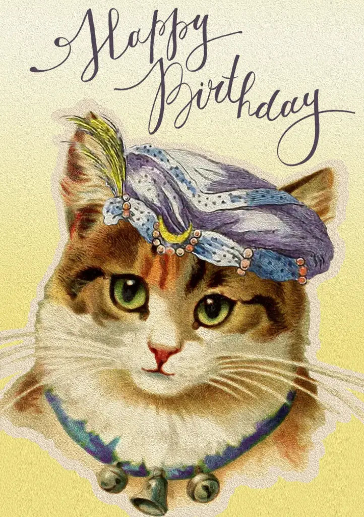 Madame Treacle — Cat with party hat