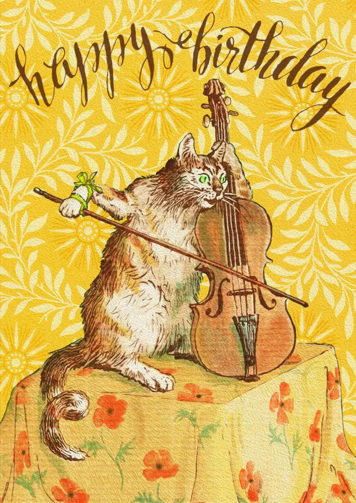 Madame Treacle — Kikker met cello