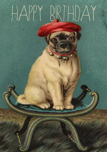 Madame Treacle — Mopshond met baret
