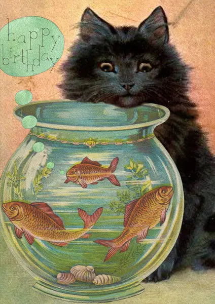 Madame Treacle — Katze am Goldfischglas