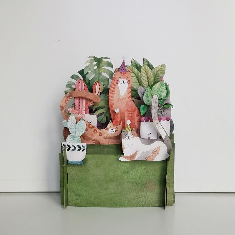 Alljoy Design | 3D | Pop - up Kaart | Katten - Kleine Eland