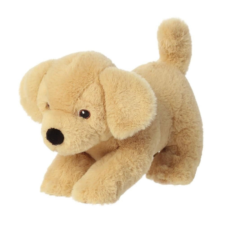 Aurora | Eco Nation | Labrador | 21 cm | 0+ - Kleine Eland