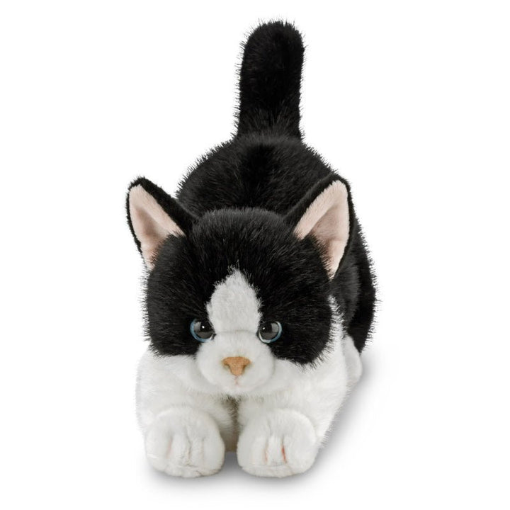 Aurora | Luxe Boutique | Borealis | Domino Tuxedo Kat | 31 cm | 0+ - Kleine Eland