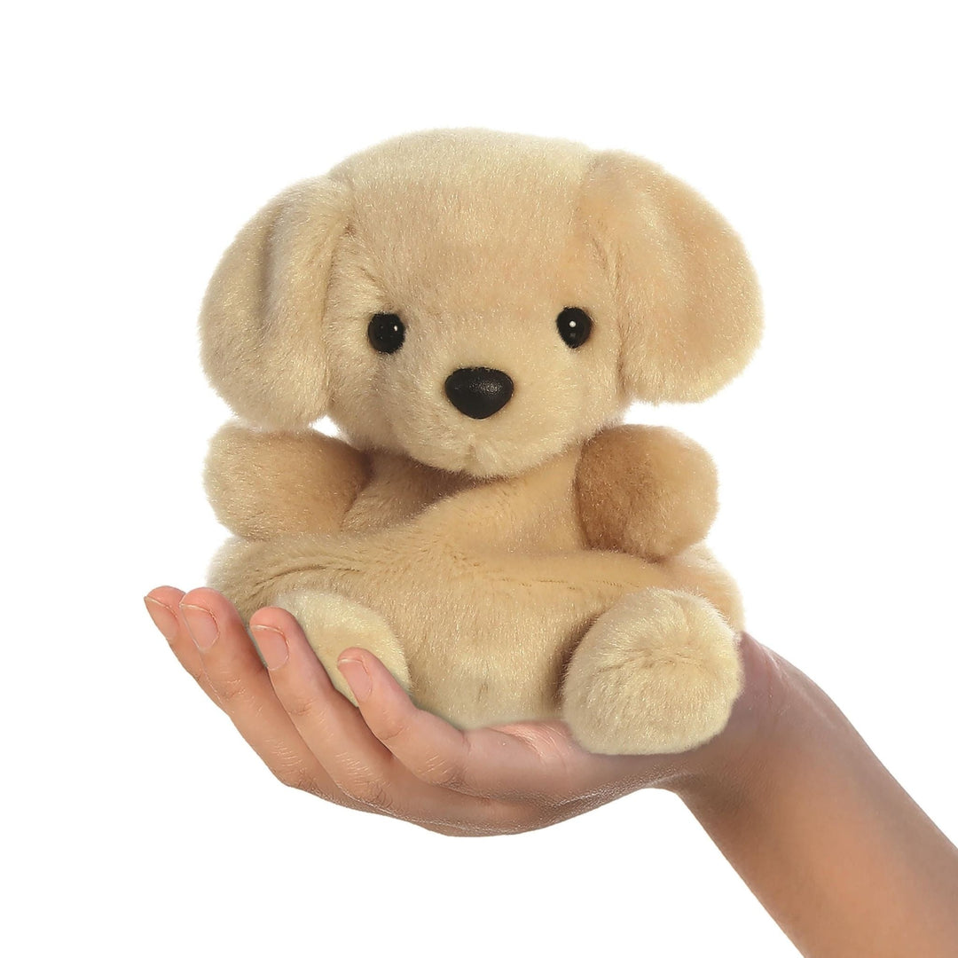 Aurora | Palm Pals | Labrador | 13 cm | 0+ - Kleine Eland