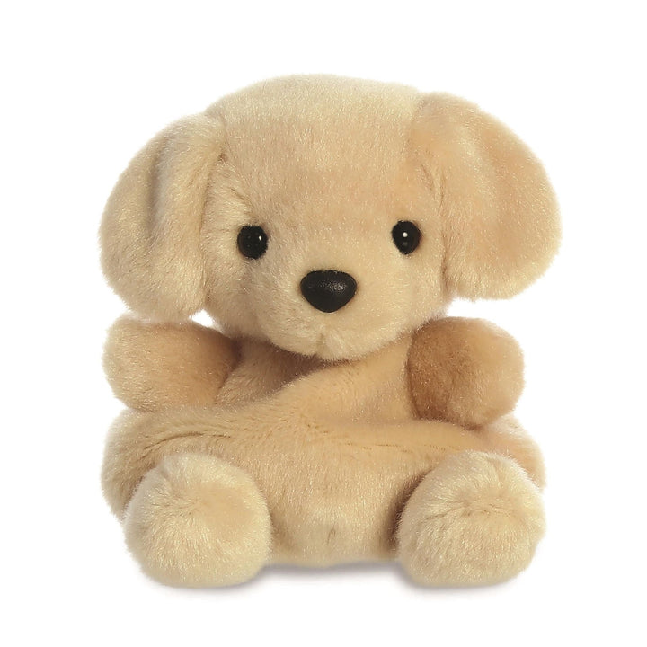 Aurora | Palm Pals | Labrador | 13 cm | 0+ - Kleine Eland