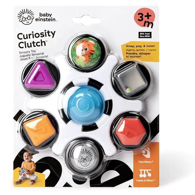 Baby Einstein | Curiosity Clutch Sensory Toy | 15 cm | + 3 maanden - Kleine Eland