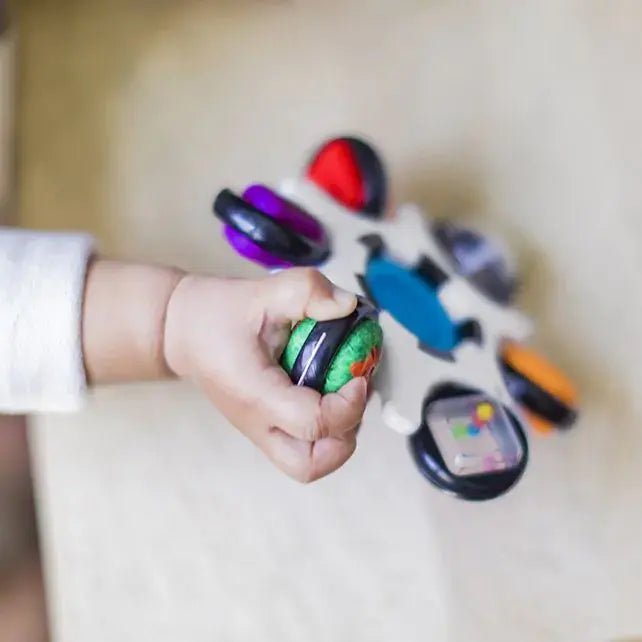 Baby Einstein | Curiosity Clutch Sensory Toy | 15 cm | + 3 maanden - Kleine Eland